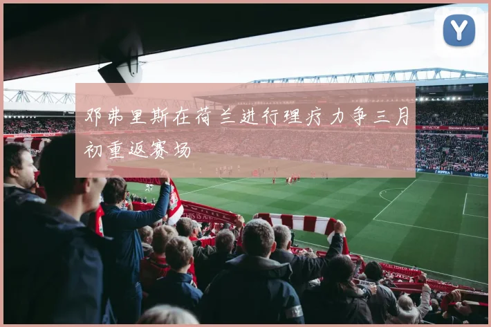 邓弗里斯在荷兰进行理疗力争三月初重返赛场