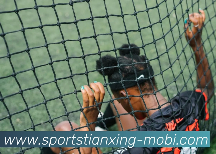 天行体育平台生态图